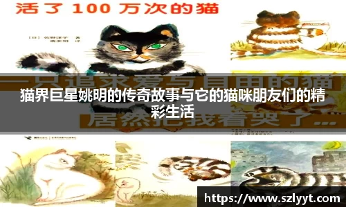 QY球友会体育